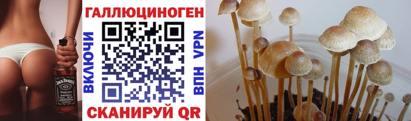 Галлюциногенные грибы GOLDEN TEACHER  OMG маркетплейс  Отрадная 